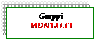 Casella di testo: Gruppi
MONTALTI
